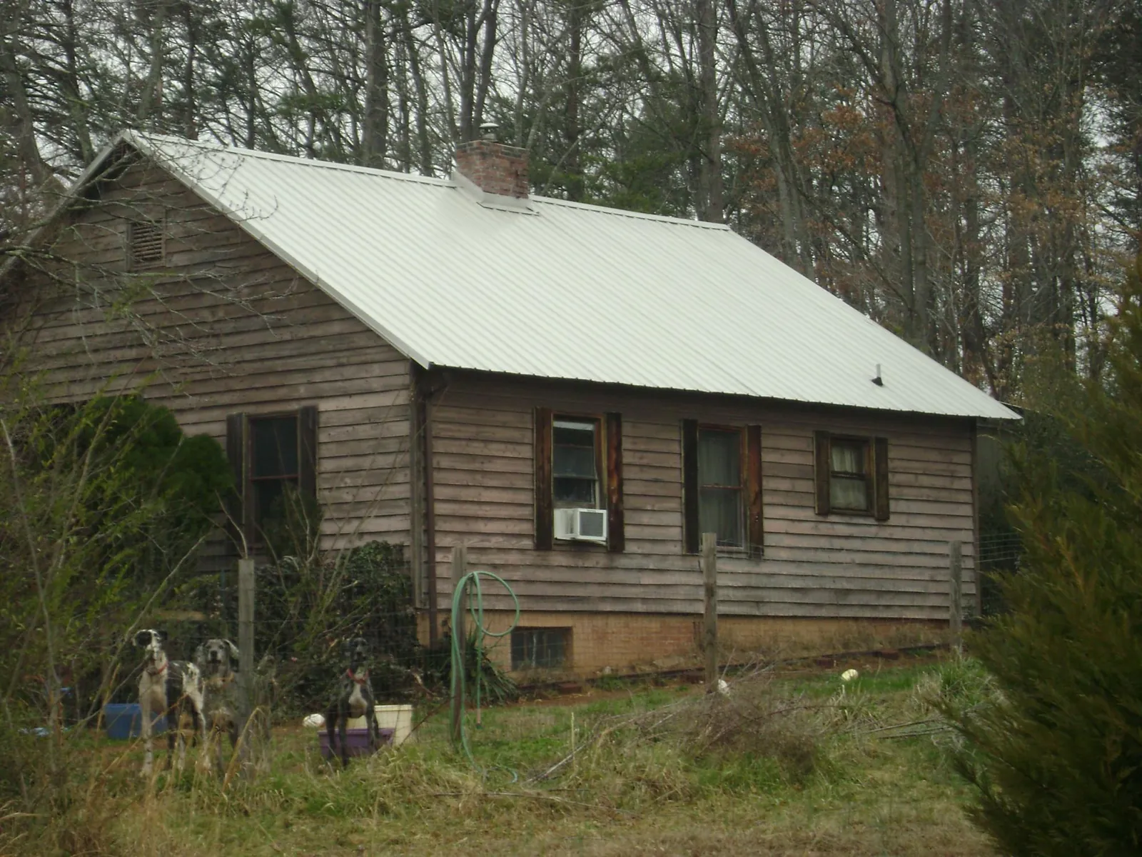 White metal roof on an old wood sided farmhouse, from a Asphalt Shingle Roof Repair job in Orlando